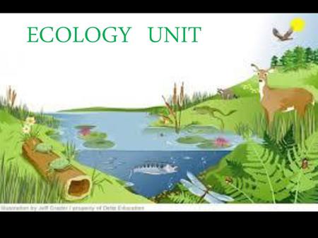 Ecology Unit ECOLOGY UNIT.