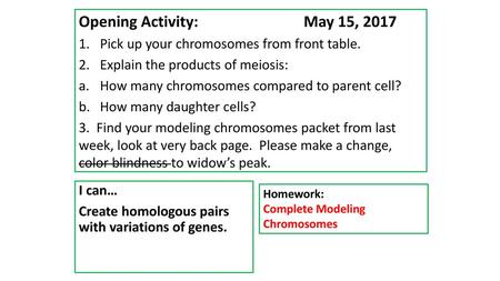 Opening Activity: 			May 15, 2017 Pick up your chromosomes from front table. Explain the products of meiosis: How many chromosomes compared to parent cell?