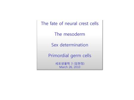 The fate of neural crest cells