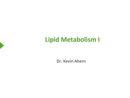 Lipid Metabolism I Dr. Kevin Ahern.