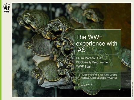 The WWF experience with IAS