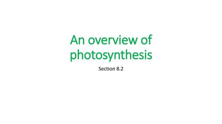 An overview of photosynthesis