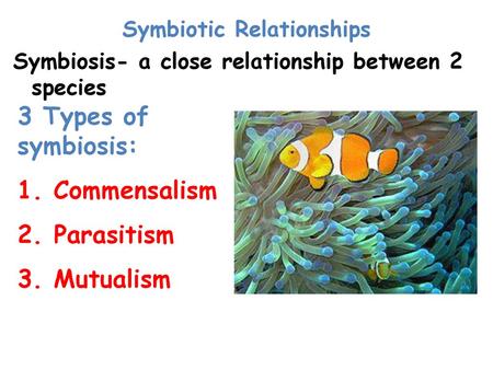 Symbiotic Relationships