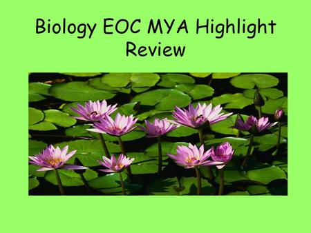 Biology EOC MYA Highlight Review