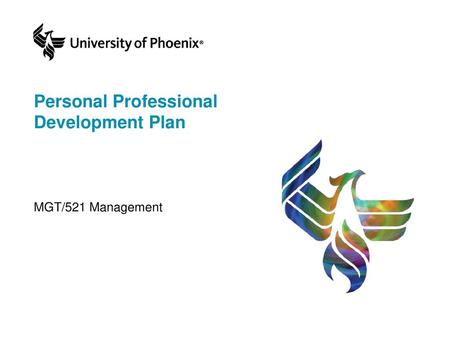 Personal Professional Development Plan