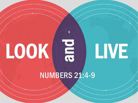 LOOK LIVE and NUMBERS 21:4-9.