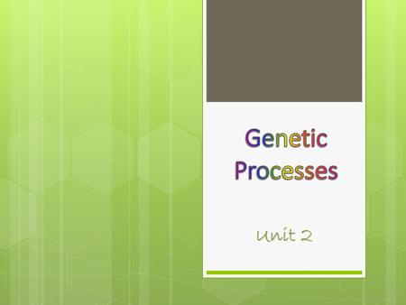 Genetic Processes Unit 2.