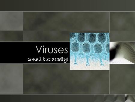 Viruses Small but deadly!.