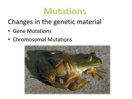 Mutations Changes in the genetic material Gene Mutations