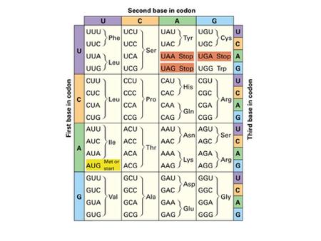 Mutations. Mutations Mutation A permanent, heritable change in the DNA of an organism. One or several nucleotides can be added, deleted, or replaced.