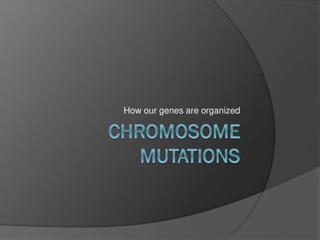 How our genes are organized