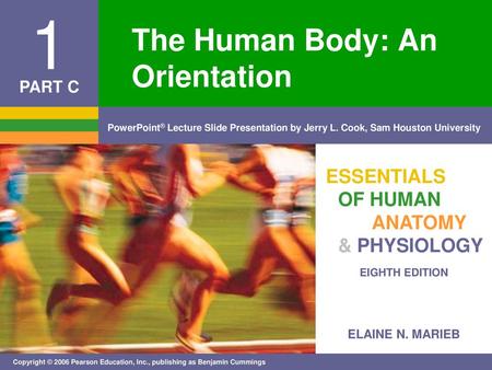 The Human Body: An Orientation