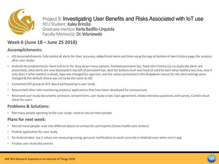 Project 9: Investigating User Benefits and Risks Associated with IoT use REU Student: Kaley Brindisi Graduate mentor: Karla Badillo-Urquiola Faculty.