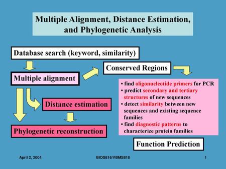 Multiple Alignment, Distance Estimation, and Phylogenetic Analysis