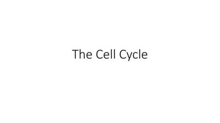 The Cell Cycle.