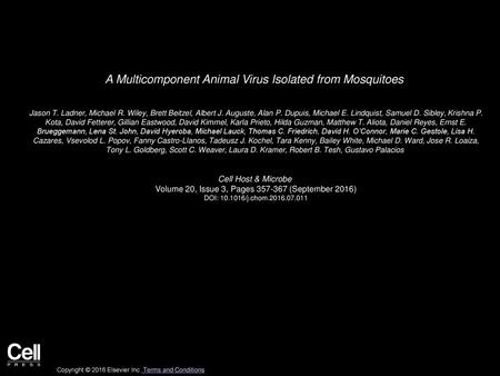 A Multicomponent Animal Virus Isolated from Mosquitoes