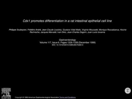 Cdx1 promotes differentiation in a rat intestinal epithelial cell line