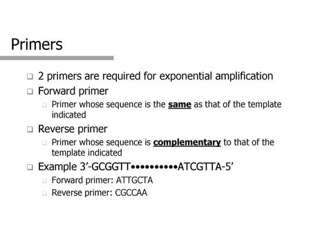 Primers 2 primers are required for exponential amplification