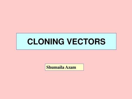 CLONING VECTORS Shumaila Azam.