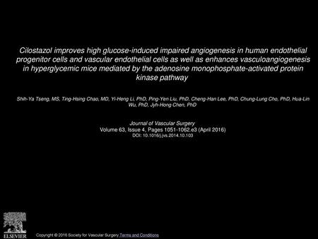 Cilostazol improves high glucose-induced impaired angiogenesis in human endothelial progenitor cells and vascular endothelial cells as well as enhances.