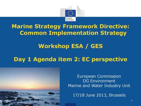 Marine Strategy Framework Directive: Common Implementation Strategy