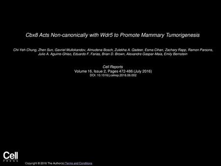 Cbx8 Acts Non-canonically with Wdr5 to Promote Mammary Tumorigenesis