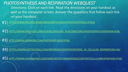 Photosynthesis and Respiration Webquest