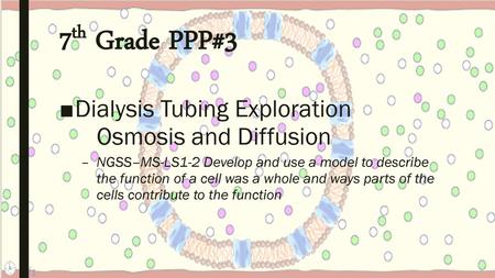 7th Grade PPP#3 Dialysis Tubing Exploration Osmosis and Diffusion