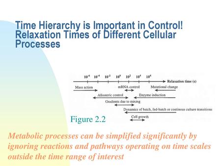 11/17/2018 Time Hierarchy is Important in Control! Relaxation Times of Different Cellular Processes First focus on time processes for enzyme activity or.