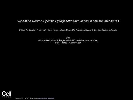 Dopamine Neuron-Specific Optogenetic Stimulation in Rhesus Macaques