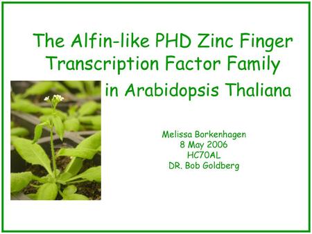 The Alfin-like PHD Zinc Finger Transcription Factor Family