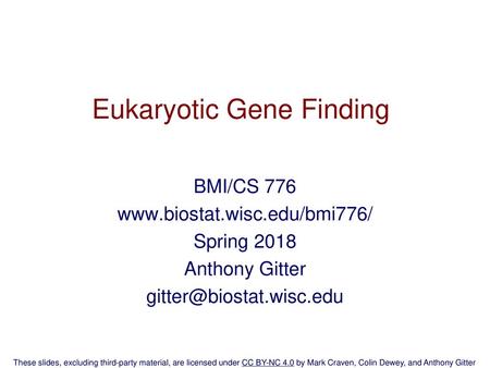 Eukaryotic Gene Finding