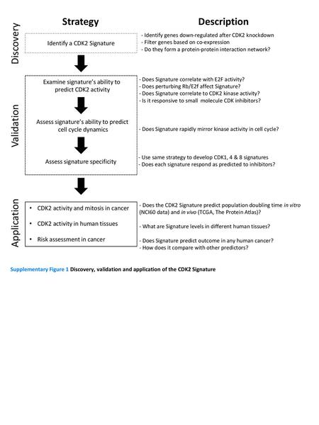 Strategy Description Discovery Validation Application