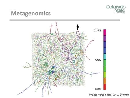 Metagenomics Image: Iverson et al. 2012, Science.