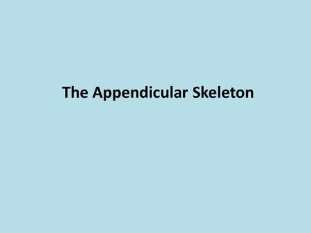 The Appendicular Skeleton