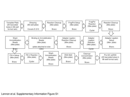 Lennon et al. Supplementary Information Figure S1