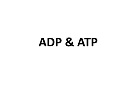 ADP & ATP.