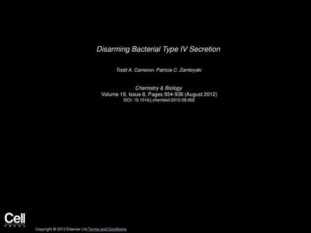 Disarming Bacterial Type IV Secretion