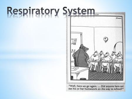 Respiratory System.