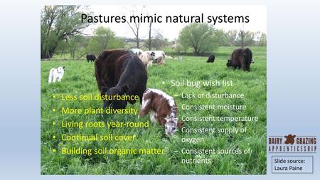 Pastures mimic natural systems