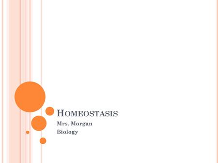 Homeostasis Mrs. Morgan Biology.