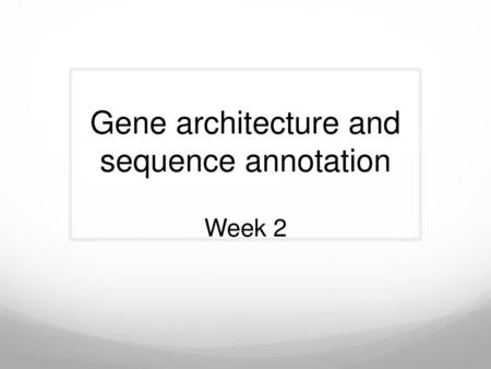 Gene architecture and sequence annotation