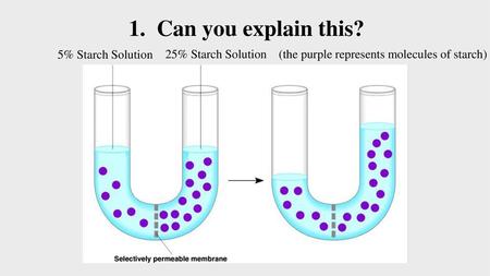 1. Can you explain this? 5% Starch Solution