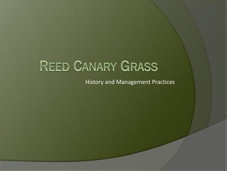 History and Management Practices