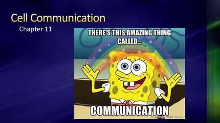 Cell Communication Chapter 11 11/17/ :51 PM