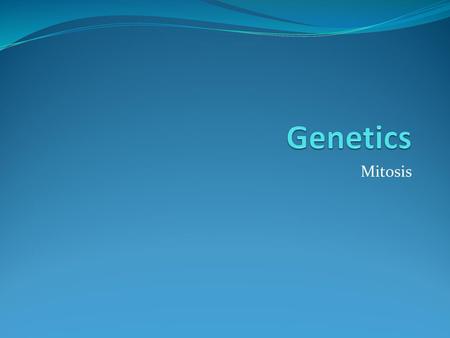 Genetics Mitosis.