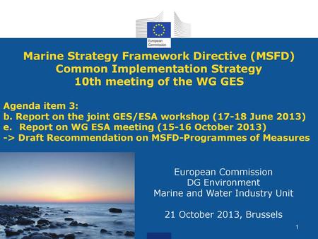 Marine Strategy Framework Directive (MSFD)