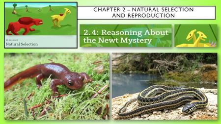 Chapter 2 – Natural Selection and Reproduction