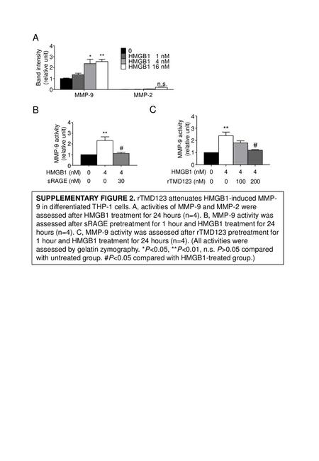 A 4 Band intensity (relative unit) 3 2 1 MMP-9 MMP-2 B C 4 4