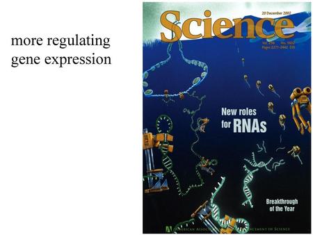 more regulating gene expression